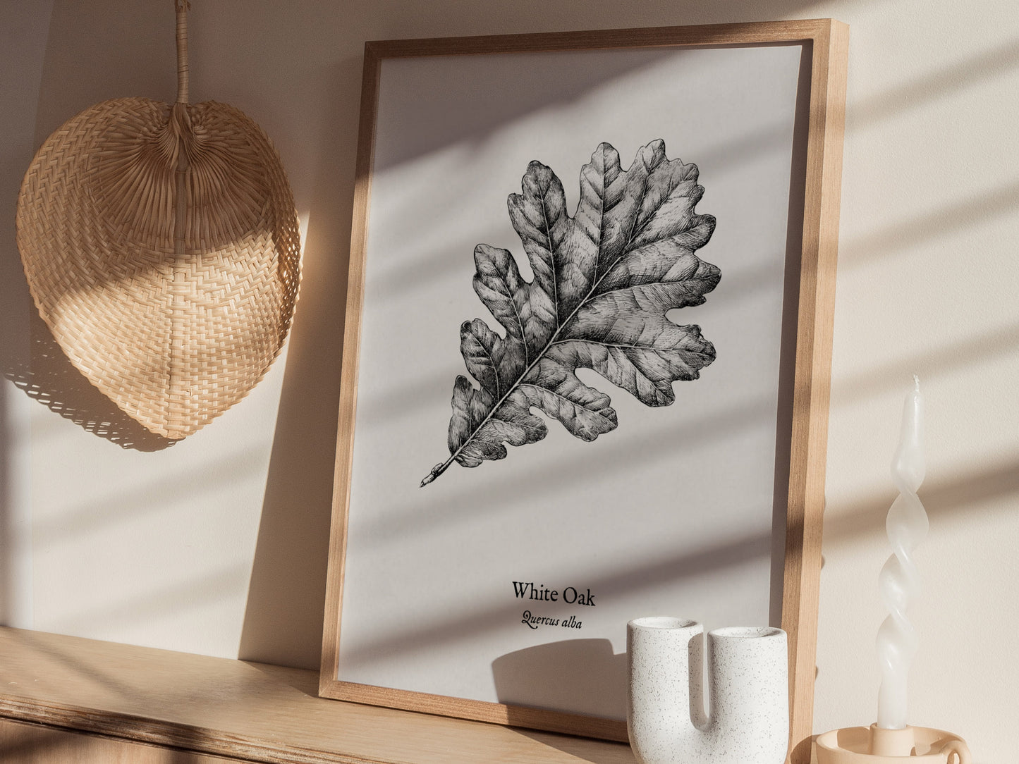 White Oak Poster | Quercus Alba Pen and Ink Print Vintage Botanical Illustration Wall Art — styled in a modern interior