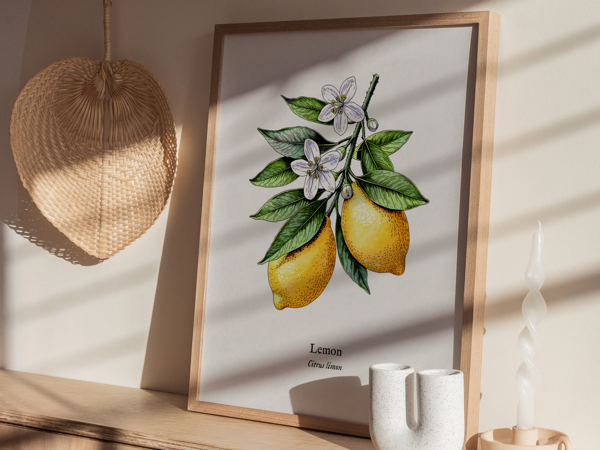 Botanical Lemon Poster | Citrus x Limon Framed Wall Art — styled in a modern interior