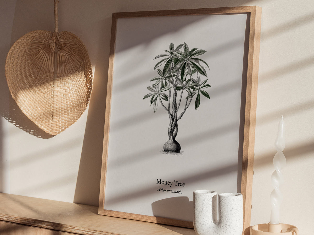 Money Tree Poster | Arbor Nummaria Pen and Ink Print — Vintage Botanical Illustration Wall Art — styled in a modern interior