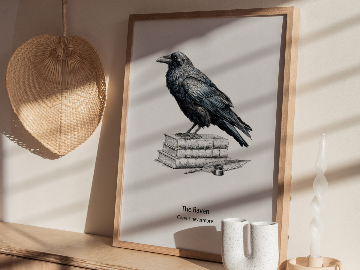 The Raven Poster | Corvus Nevermore Pen and Ink Print Zoological Illustration Wall Art — styled in a modern interior
