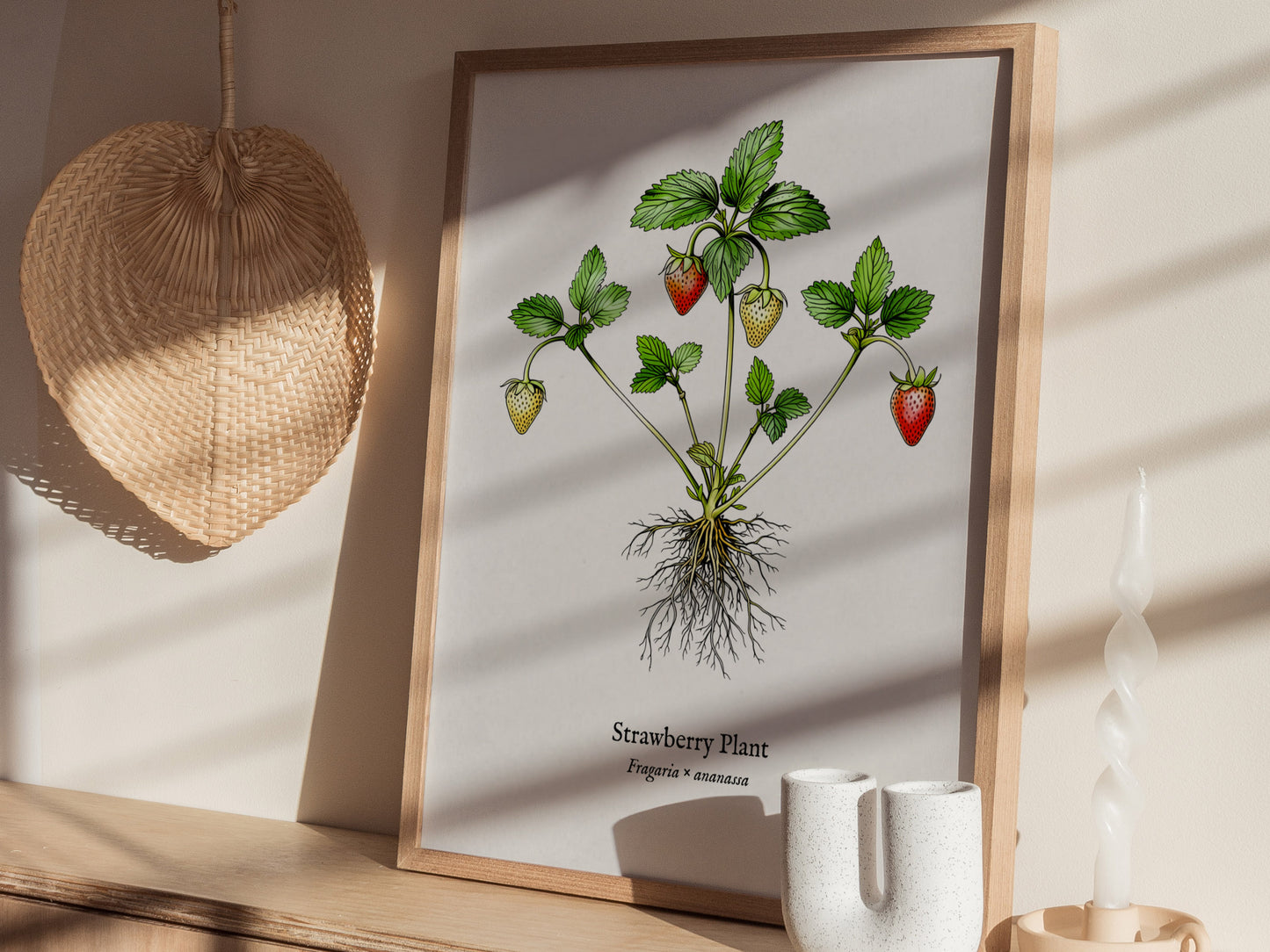 Strawberry Plant Poster | Vintage Fragaria × ananassa Botanical Illustration Wall Art — styled in a modern interior