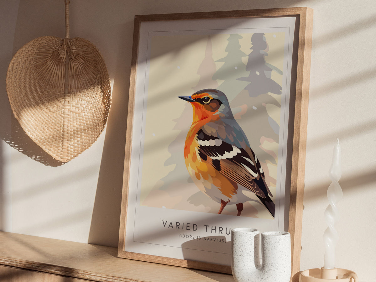 Varied Thrush, Ixoreus naevius Poster | Bold Forest Songbird Nature Poster Wall Art — styled in a modern interior
