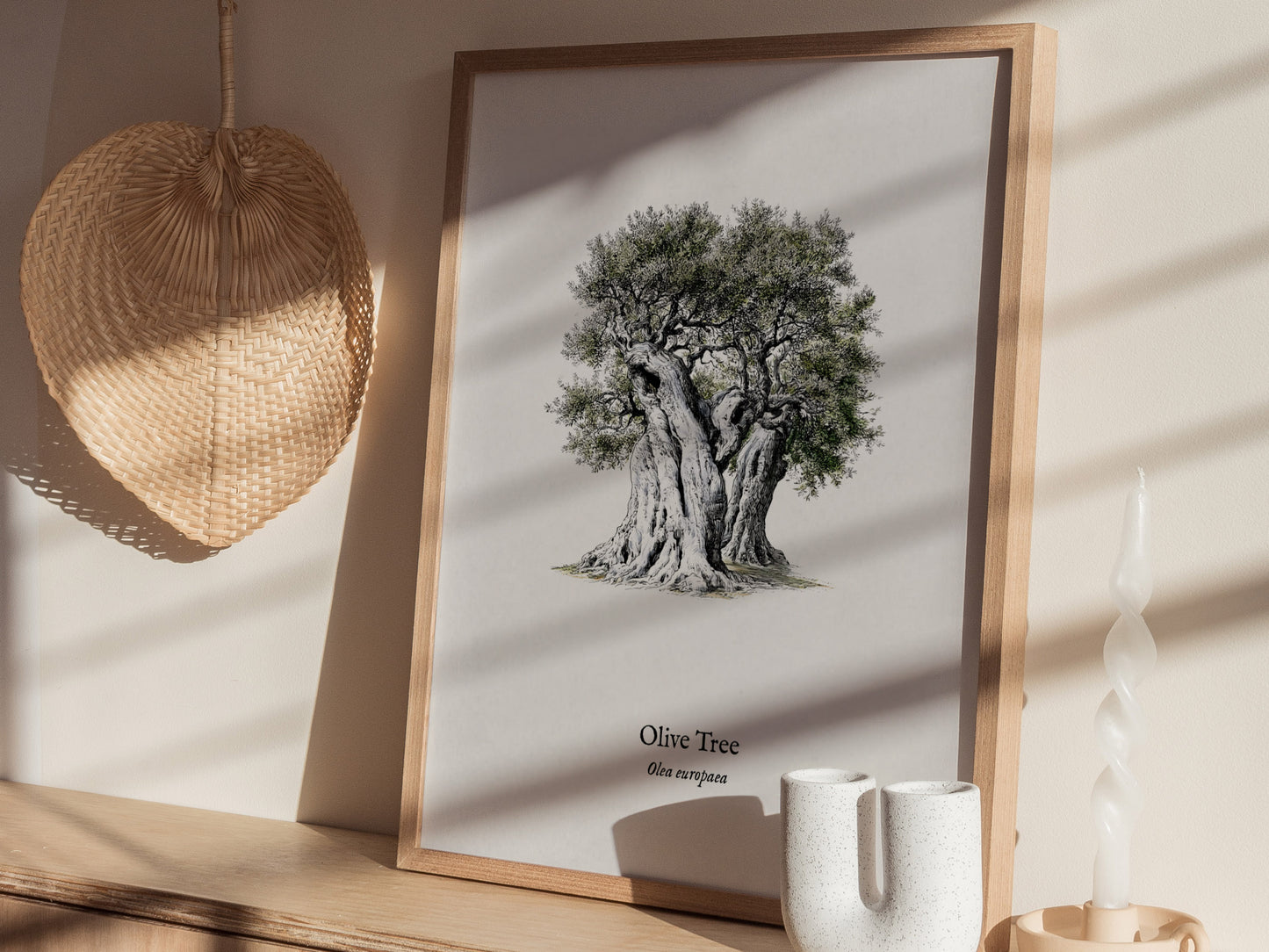 Olive Tree Poster | Vintage Olea europaea Botanical Illustration Wall Art — styled in a modern interior