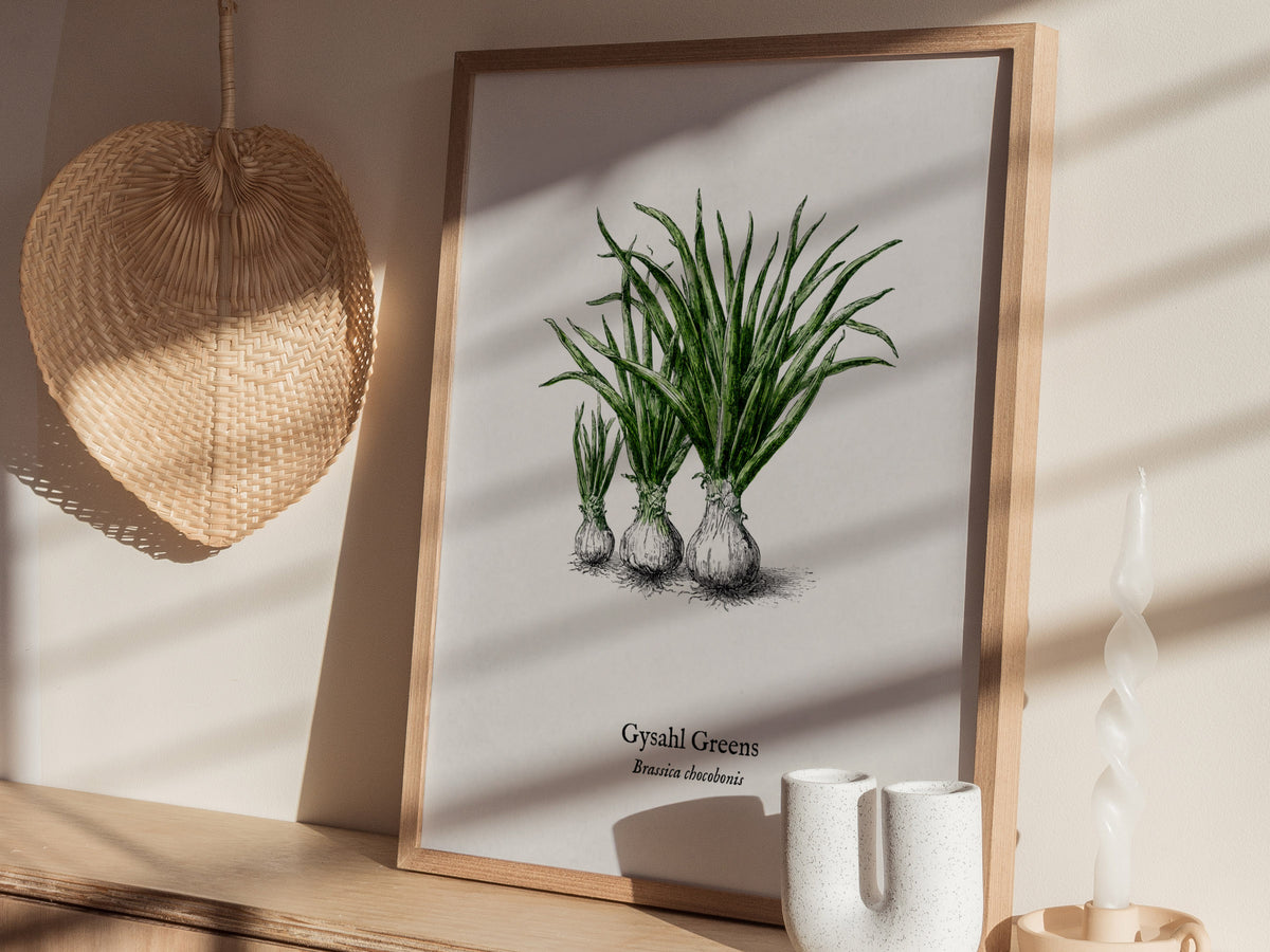 Gysahl Greens Poster | Brassica chocobonis Pen and Ink Print Vintage Botanical Illustration — styled in a modern interior