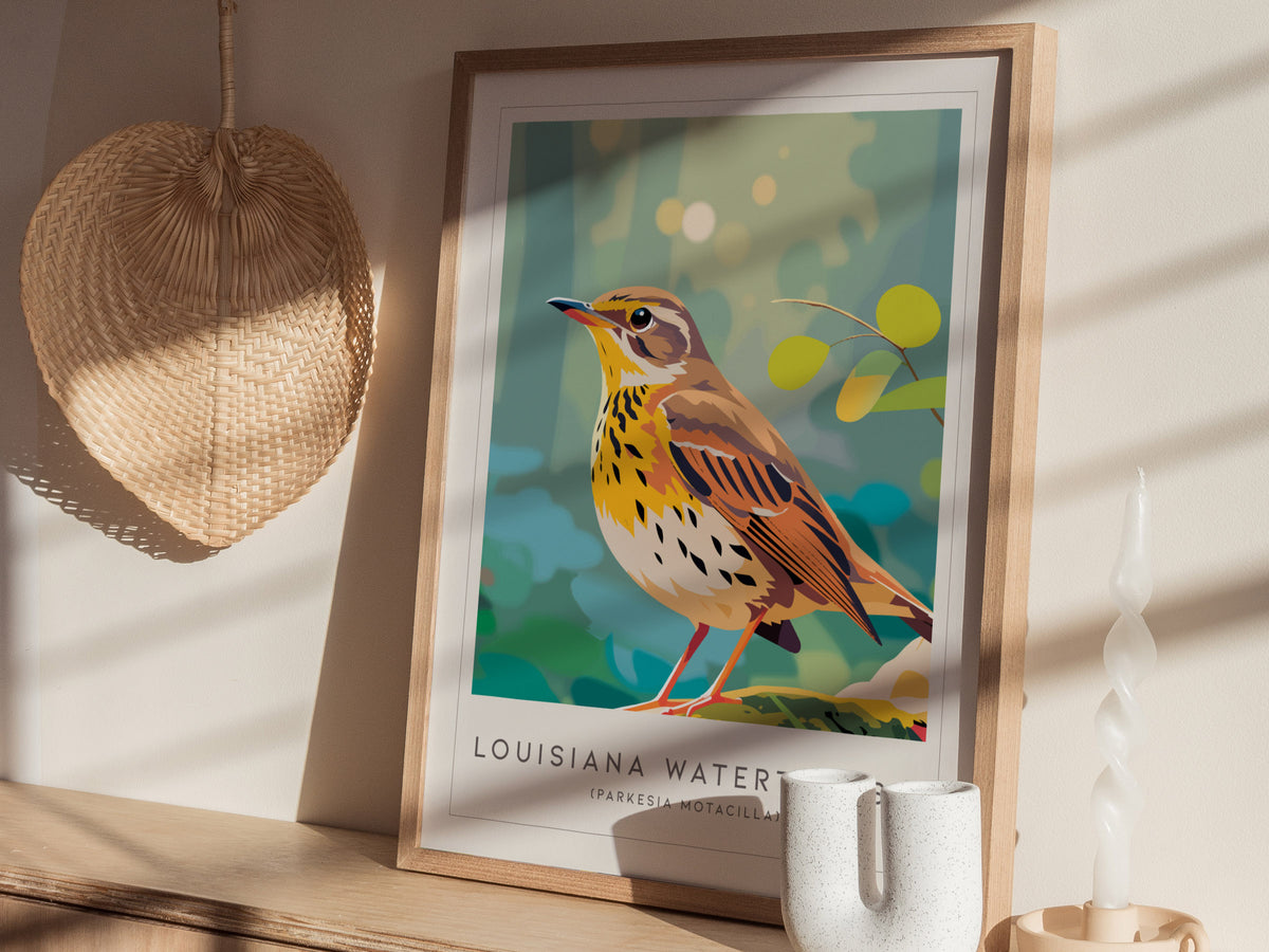 Louisiana Waterthrush, Parkesia motacilla Poster | Streamside Songbird Nature Wall Art — styled in a modern interior