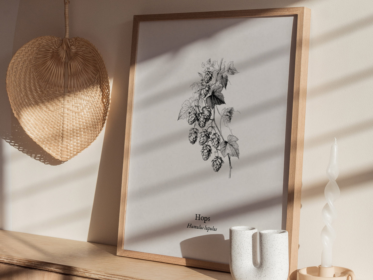 Hops Poster | Vintage Humulus lupulus Botanical Illustration Wall Art — styled in a modern interior