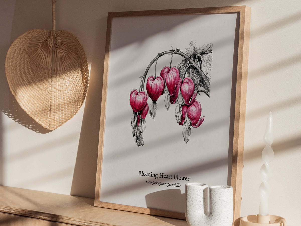 Bleeding Heart Flower Poster | Lamprocapnos spectabilis Pen and Ink Print Botanical Illustration Wall Art — styled in a moder