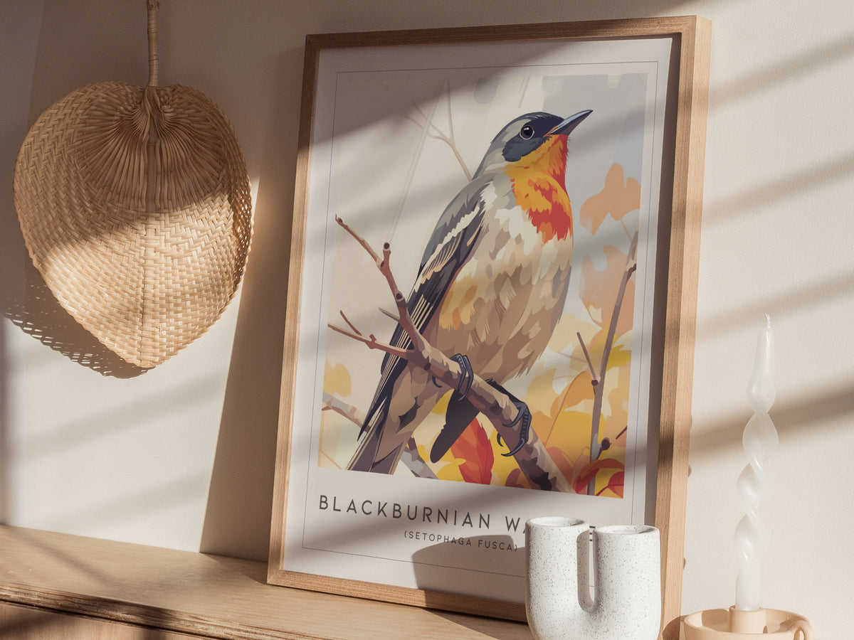 Blackburnian Warbler, Setophaga fusca Poster | Fiery Songbird Nature Print Wall Art — styled in a modern interior