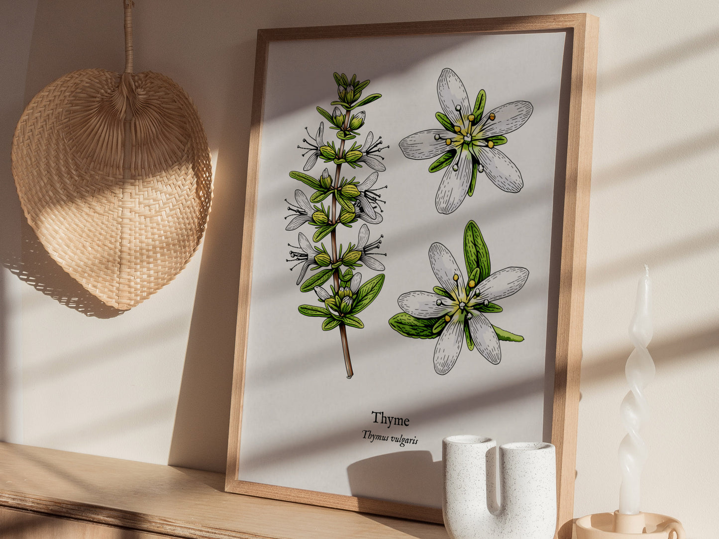 Thyme Poster | Vintage Thymus vulgaris Botanical Illustration Wall Art — styled in a modern interior
