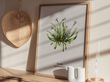 Katniss Poster | Sagittaria sagittifolia Pen and Ink Print | Vintage Botanical Illustration Wall Art — styled in a modern int