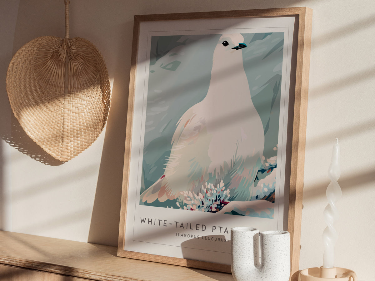 White-tailed Ptarmigan, Lagopus leucurus Poster | Alpine Bird Wall Art — styled in a modern interior