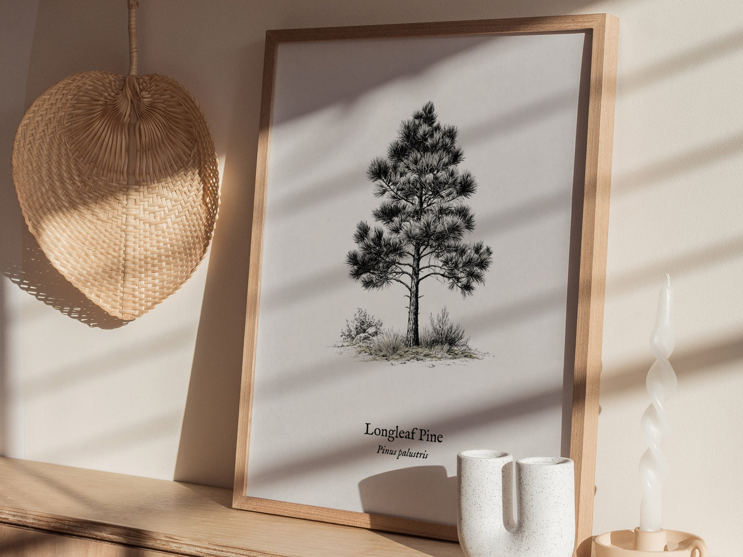 Longleaf Pine Poster | Pinus palustris Pen and Ink Print | Vintage Botanical Illustration Wall Art — styled in a modern inter