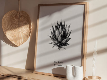 Blue Agave Poster | Vintage Agave Tequilana Botanical Illustration Wall Art — styled in a modern interior