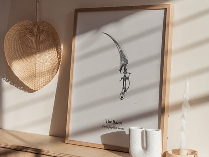 The Razor Poster | Ensis Flagellum Aureus Pen and Ink Print | Vintage Zoological Illustration Wall Art — styled in a modern i
