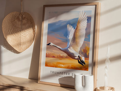 Trumpeter Swan Poster | Elegant Waterbird in Winter Calm Wall Art — styled in a modern interior