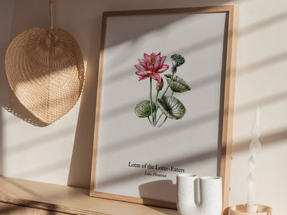 Lotus of the Lotus-Eaters Poster | Vintage Lotus Homerica Scientific Illustration Wall Art — styled in a modern interior