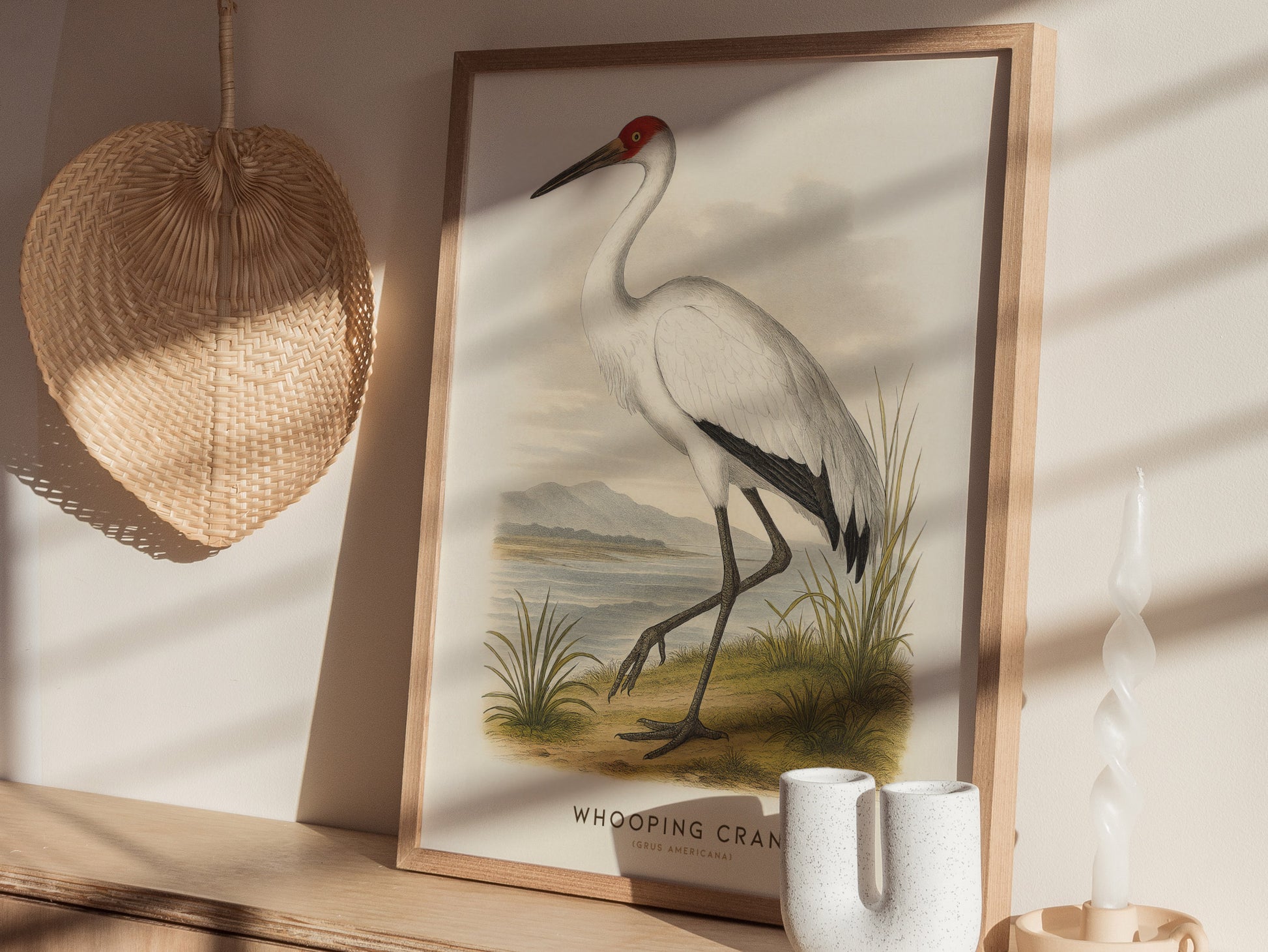 Whooping Crane Print | Vintage Audubon Bird Art Naturalist Wall Decor