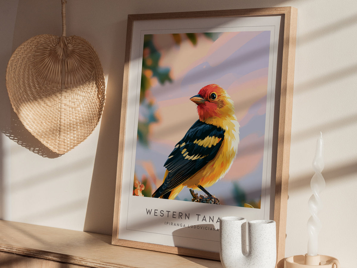 Western Tanager, Piranga ludoviciana Poster | Vibrant Songbird Nature Wall Art — styled in a modern interior