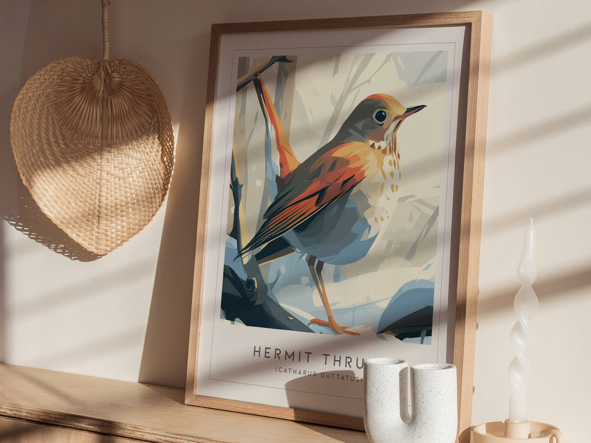Hermit Thrush Poster | Woodland Songbird Forest Art Wall Art — styled in a modern interior