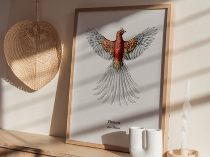Phoenix Poster | Vintage Avis Phoenix Zoological Illustration Wall Art — styled in a modern interior