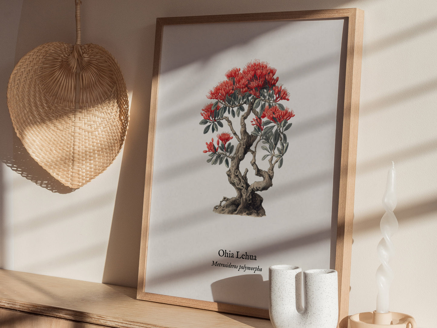 Ohia Lehua Poster | Vintage Metrosideros polymorpha Botanical Illustration Wall Art — styled in a modern interior
