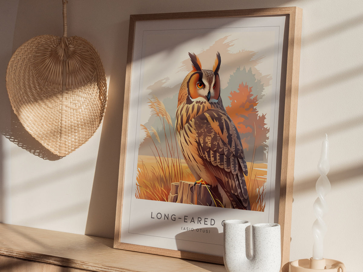 Long-eared Owl, Asio otus Poster | Mysterious Forest Raptor Bird Wall Art — styled in a modern interior