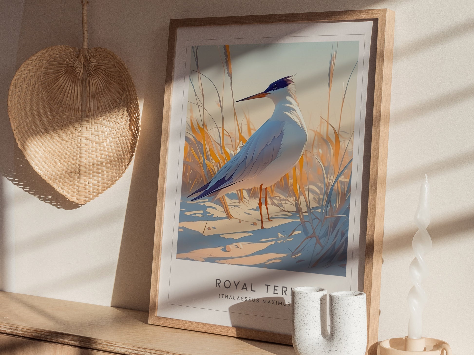 Royal Tern Poster | Beach Bird Art Coastal Decor | Birdwatching Gift