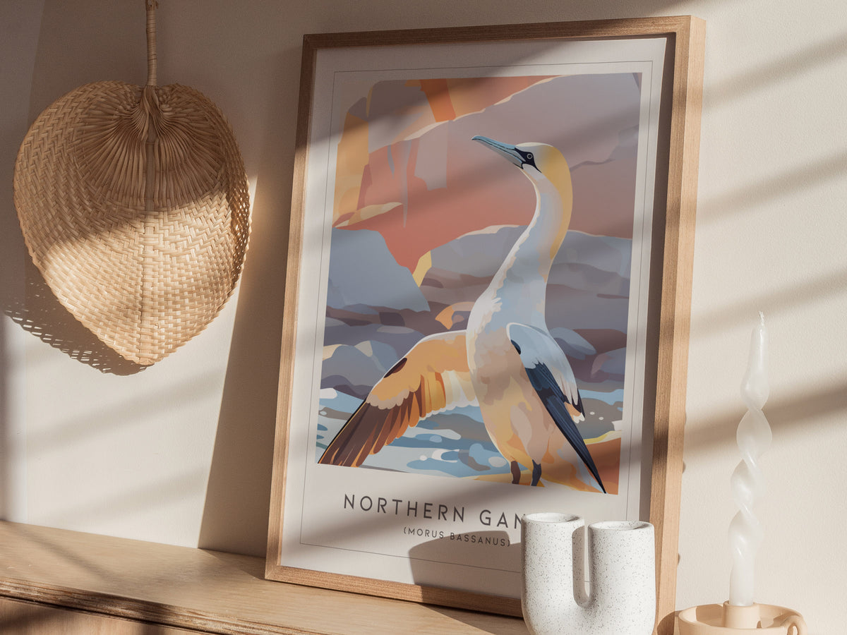 Northern Gannet, Morus bassanus Poster | Striking Seabird Wildlife Print Wall Art — styled in a modern interior