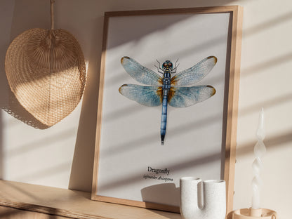 Dragonfly Poster | Vintage Anisoptera Zoological Illustration Wall Art — styled in a modern interior