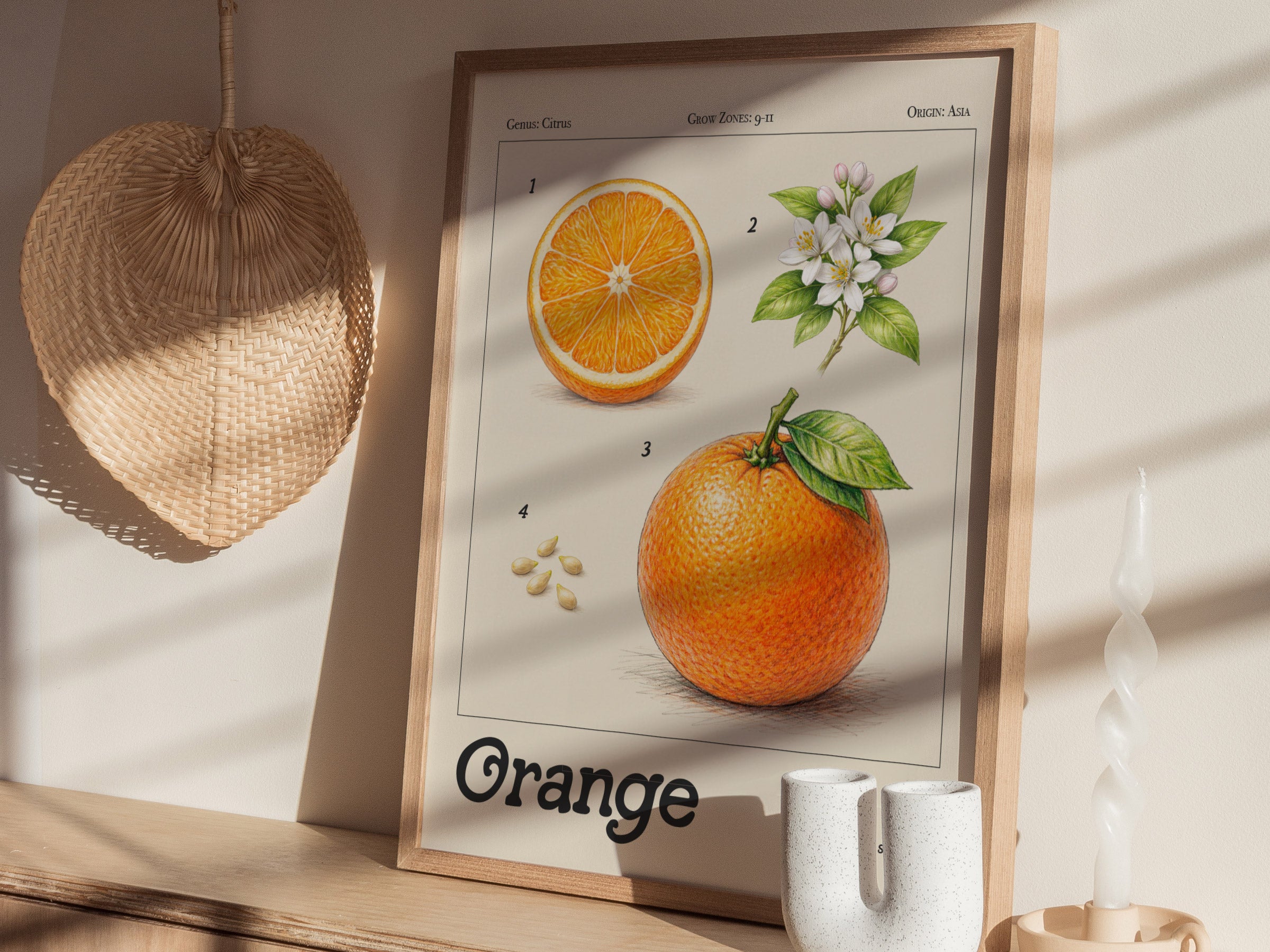 Orange Botanical Wall Art | Vintage Citrus Illustration Print