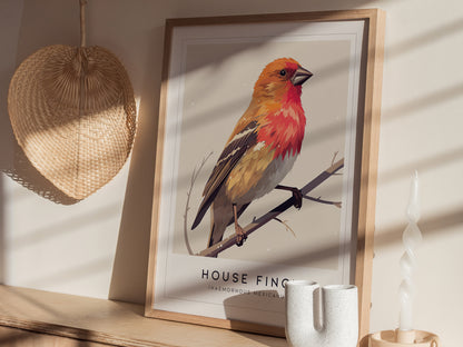 House Finch Poster | Haemorhous mexicanus Bird Wall Art