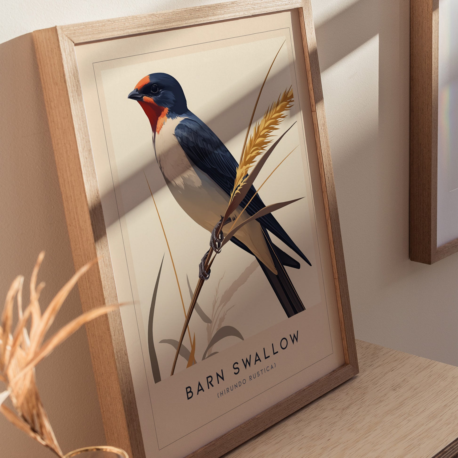 Barn Swallow Audubon Print | Bird Lover Wall Art | Framed or Unframed