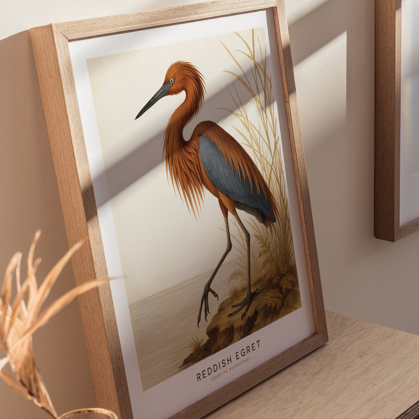 A framed illustration of a Reddish Egret is displayed as wall art, featuring its detailed plumage and slender legs against a natural backdrop. The poster captures the birds unique beauty in a vintage Audubon style.