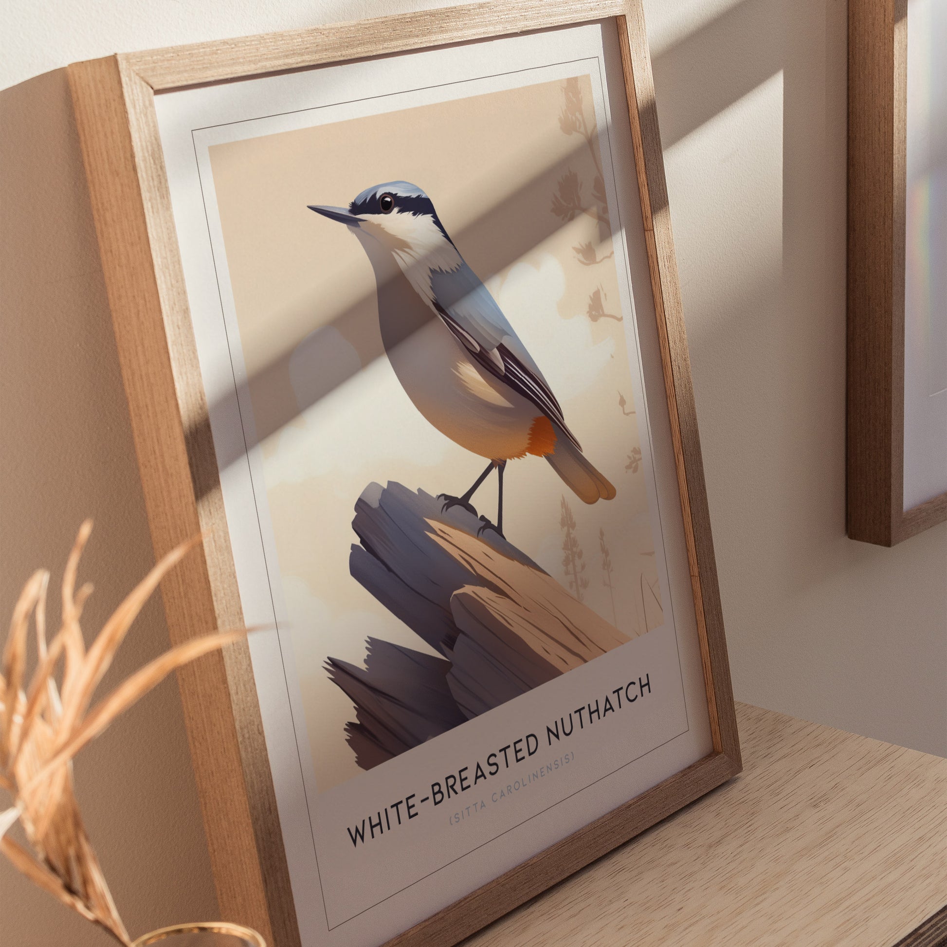 White-Breasted Nuthatch Poster | Minimalist Bird Art Birdwatcher Gift