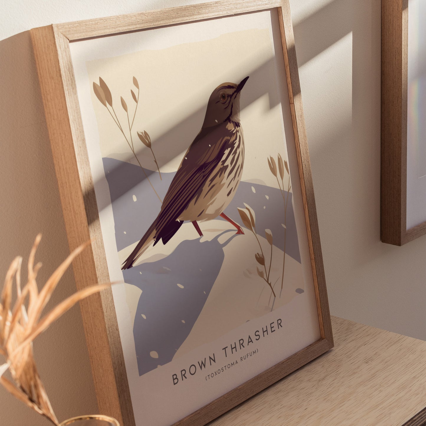 Brown Thrasher Audubon Print | Modern Bird Lover Wall Art | Framed or Unframed