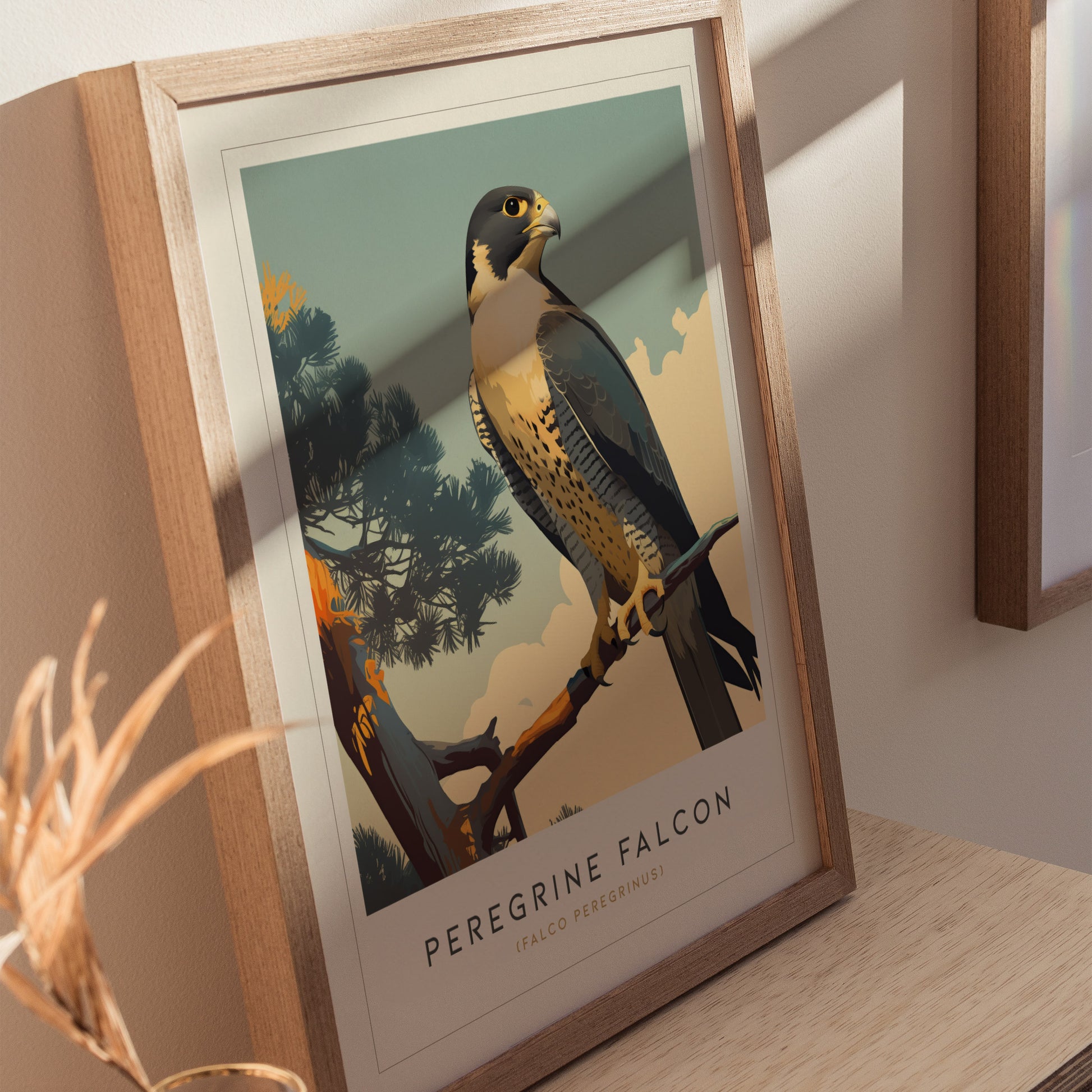Peregrine Falcon Poster | Modern Audubon Bird of Prey Wall Art Print