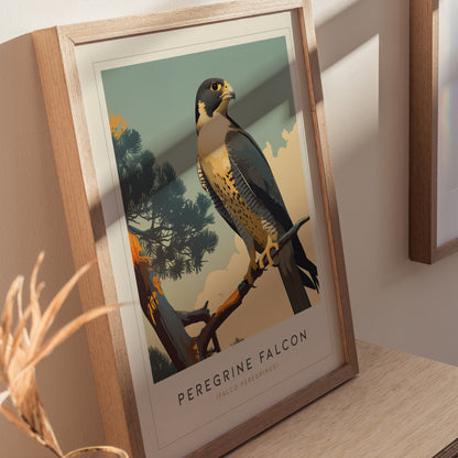 Peregrine Falcon Poster | Modern Audubon Bird of Prey Wall Art Print