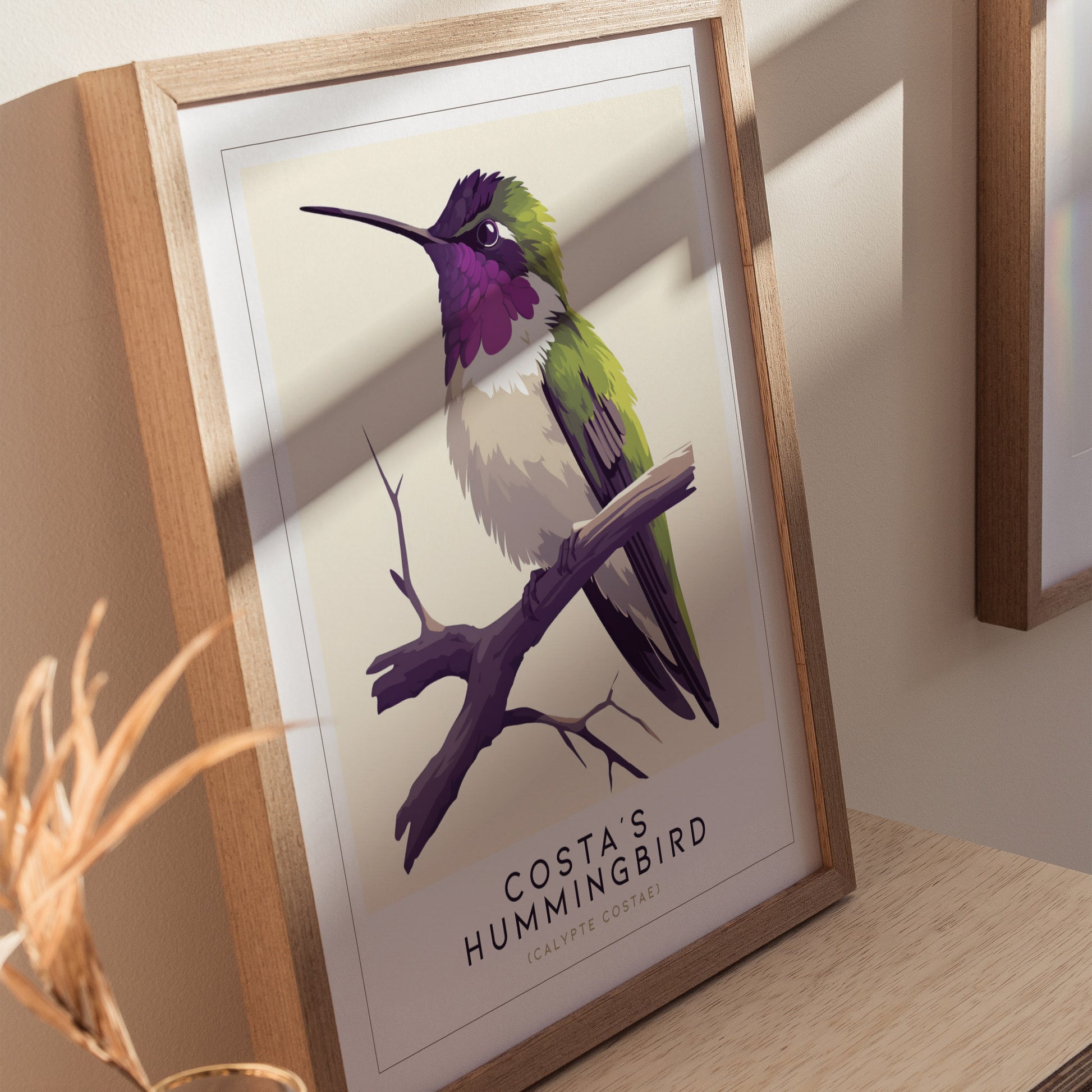 Costas Hummingbird Audubon Print | Bird Lover Wall Art | Framed or Unframed