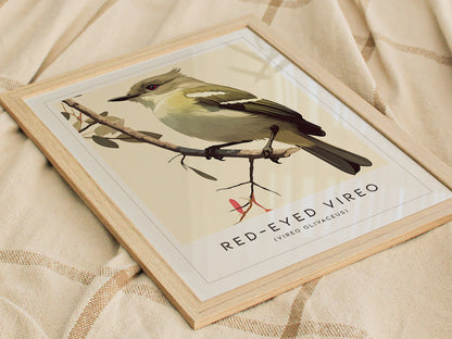 Red-Eyed Vireo Poster | Forest Songbird Wall Art