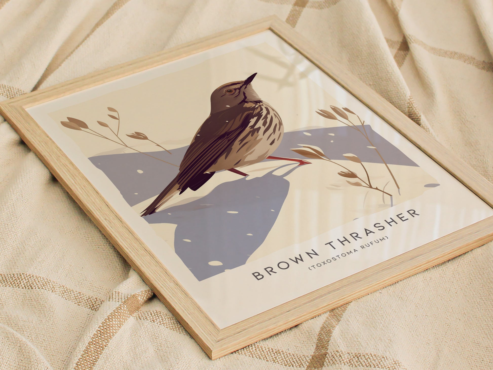Brown Thrasher Audubon Print | Modern Bird Lover Wall Art | Framed or Unframed