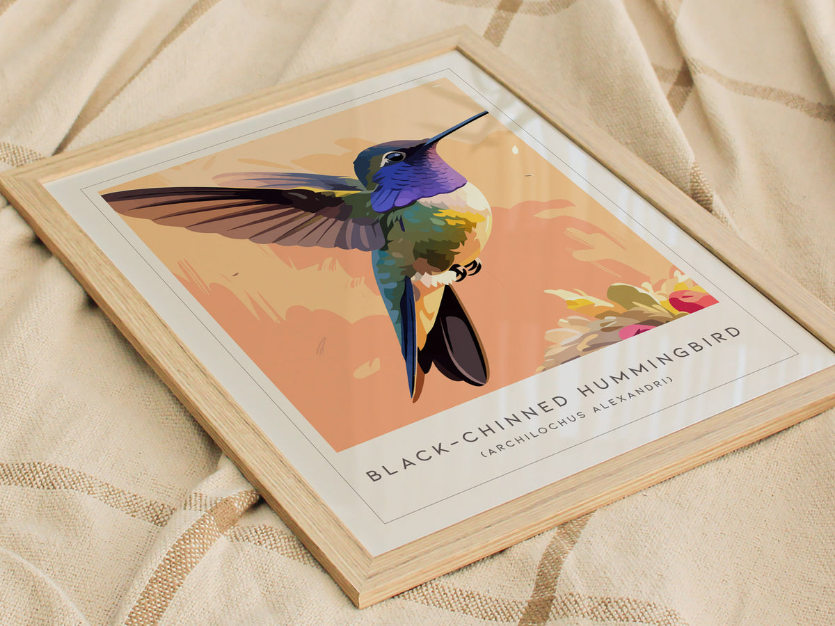 Black-chinned Hummingbird, Archilochus alexandri Poster | Jeweled Bird Wildlife Print Wall Art — styled in a modern interior
