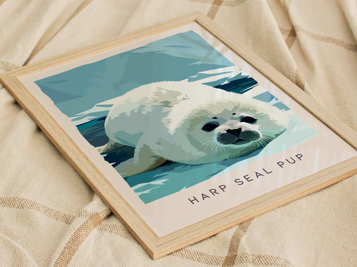 Harp Seal Pup, Pagophilus groenlandicus Poster | Arctic Wildlife Wall Art — styled in a modern interior