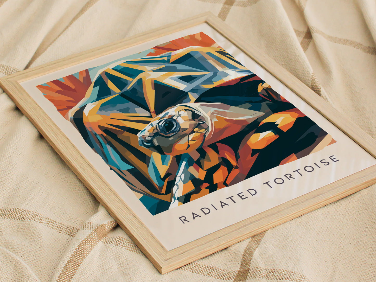 Radiated Tortoise Poster | Exotic Wildlife Portrait Fine Wall Art — styled in a modern interior