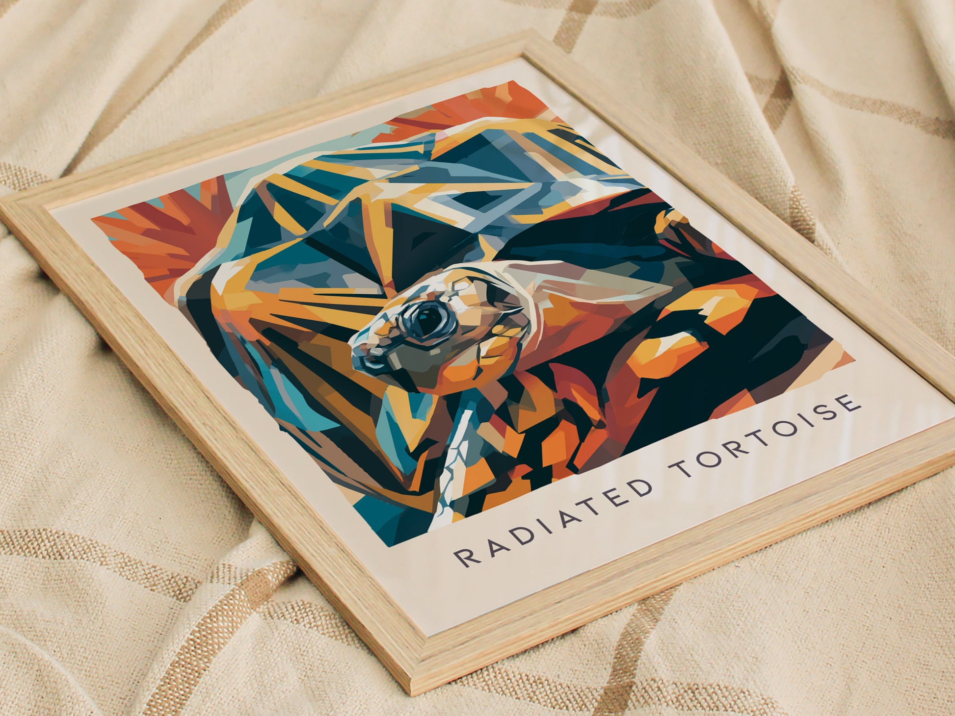 Radiated Tortoise Poster | Exotic Wildlife Portrait Fine Wall Art — styled in a modern interior