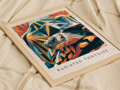Radiated Tortoise Poster | Exotic Wildlife Portrait Fine Wall Art — styled in a modern interior