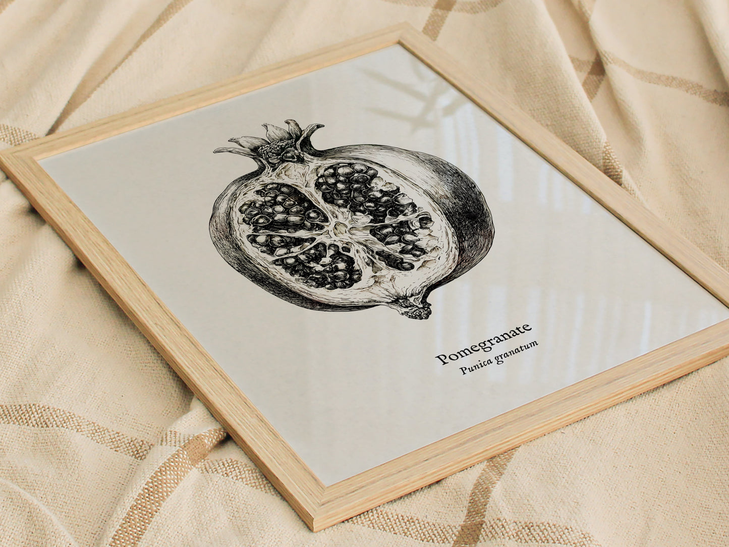 Pomegranate Poster | Vintage Punica granatum Botanical Illustration Wall Art — styled in a modern interior