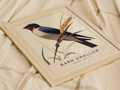 Barn Swallow Audubon Print | Bird Lover Wall Art | Framed or Unframed