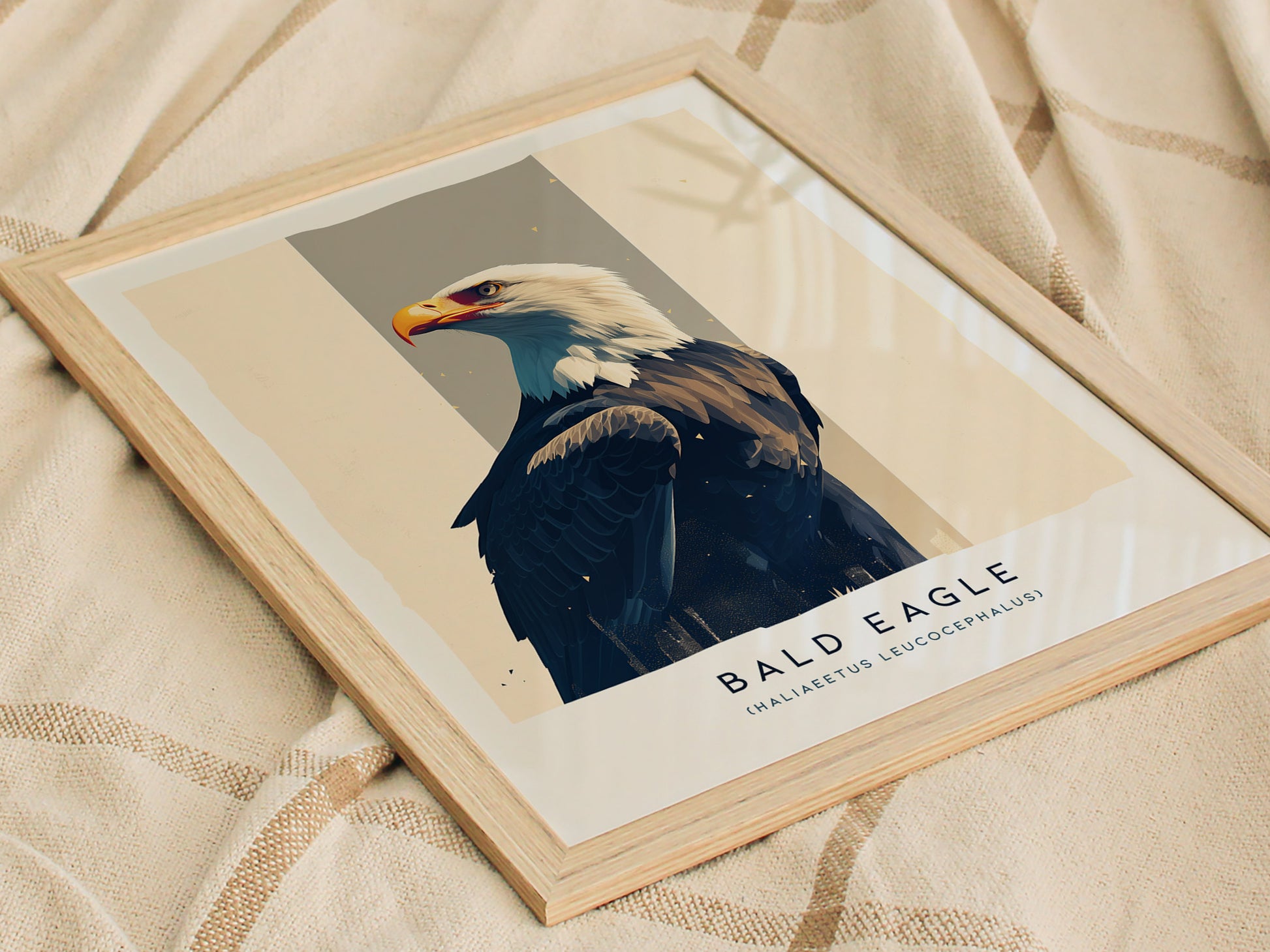 Bald Eagle Audubon Print | Bird of Prey American Wildlife Wall Art | Framed or Unframed