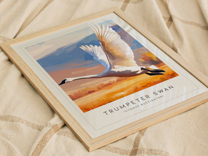 Trumpeter Swan Poster | Elegant Waterbird in Winter Calm Wall Art — styled in a modern interior