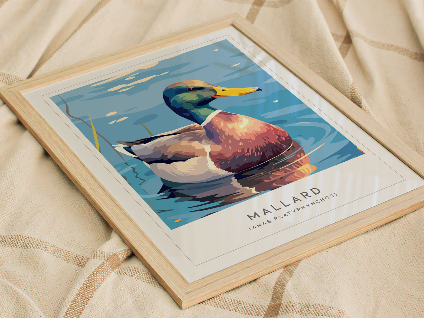 Mallard Poster | Graceful Duck on Tranquil Waters Wall Art — styled in a modern interior
